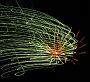 fireworks 001 (17)